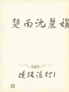 楚南沈丽娟小说