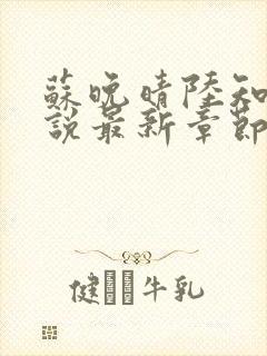 苏晚晴陆知衍小说最新章节更新内容