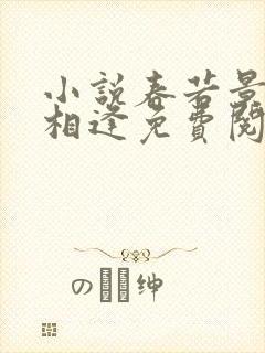 小说春若景明不相逢免费阅读