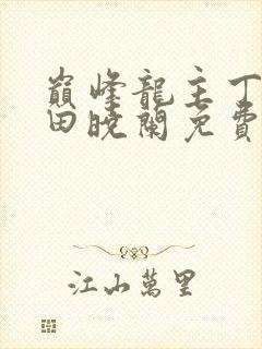 巅峰龙主丁长顺田晓兰免费阅读