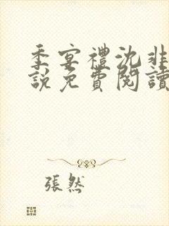 季宴礼沈非璃小说免费阅读最新章节封面