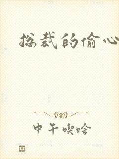 总裁的偷心娇妻