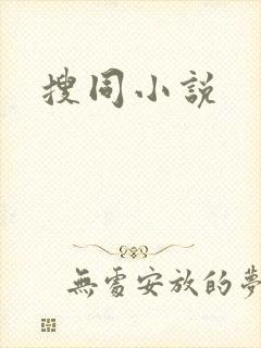 搜同小说