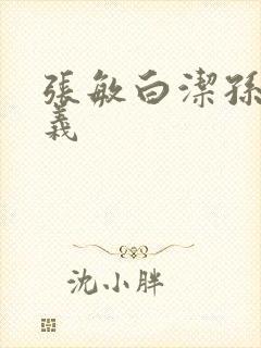 张敏白洁孙倩高义封面