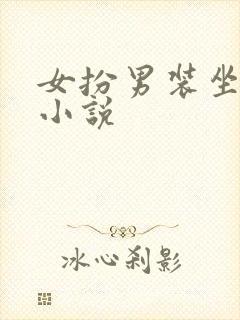 女扮男装坐江山小说