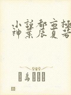 小说都市极品医神叶辰夏若雪无弹窗