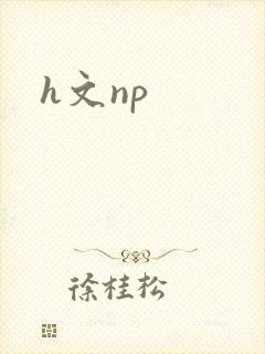 h文np封面