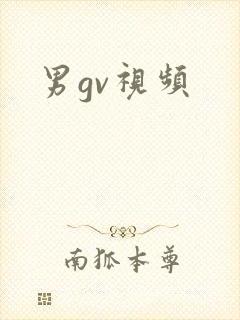 男gv视频