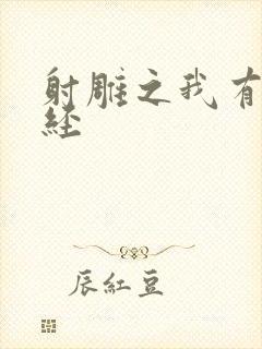 射雕之我有太玄经封面