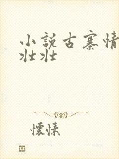 小说古寨情缘安壮壮