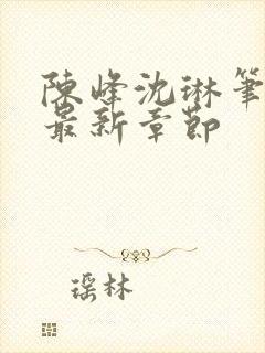 陈峰沈琳笔趣阁最新章节