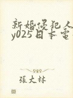 新婚侵犯人妻dy025日本电影封面