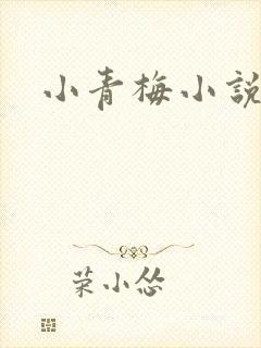 小青梅小说