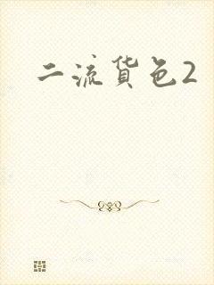 二流货色2