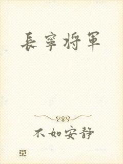 长宁将军封面