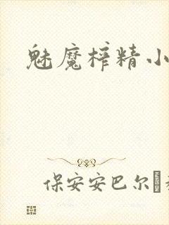 魅魔榨精小说封面