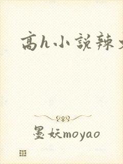 高h小说辣文