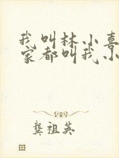 我叫林小喜 大家都叫我小喜小说封面