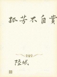 孤芳不自赏小说