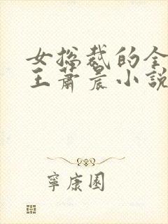 女总裁的全能兵王萧晨小说完本