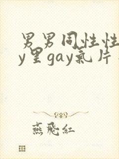 男男同性性gay里gay气片网站