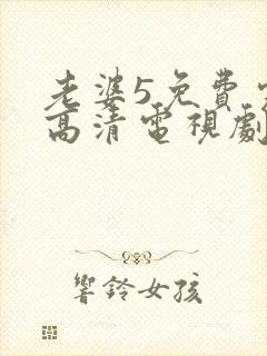 老婆5免费完整高清电视剧在线封面