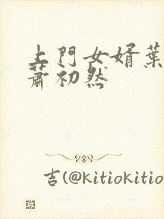 上门女婿叶辰和萧初然封面