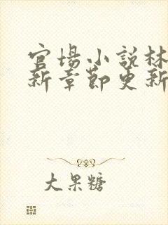 官场小说林一最新章节更新