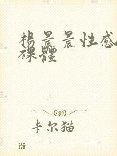 杨晨晨性感写真裸体封面