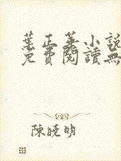 叶正华小说全文免费阅读无弹窗