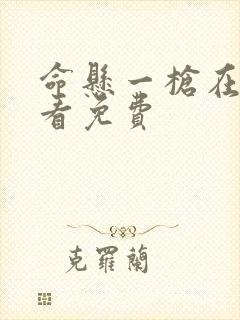 命悬一枪在线观看免费