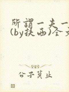 所谓一夫一妻制(by扶西)全文阅读封面