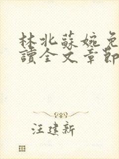 林北苏婉免费阅读全文章节