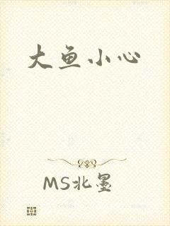 大鱼小心
