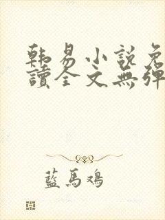 韩易小说免费阅读全文无弹窗