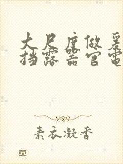 大尺度做爰无遮挡露器官电影