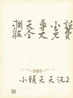 渊天尊小说未删版全文免费阅读