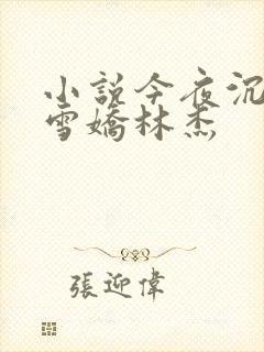 小说今夜沉醉段雪娇林杰