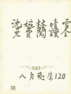 沈婉林晴雪小说免费阅读全文