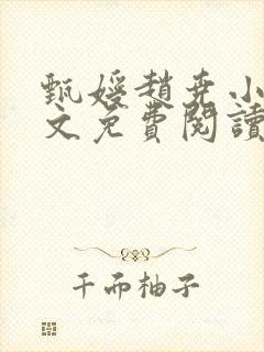 甄嫒赵尧小说全文免费阅读