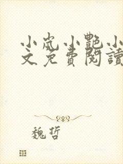 小岚小艳小说全文免费阅读最新章节