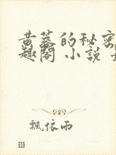 黄蓉的秘密 笔趣阁 小说 最新章节在线阅读