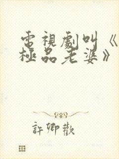 电视剧叫《我的极品老婆》