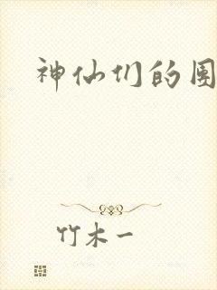 神仙们的团宠封面