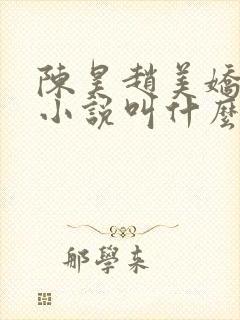 陈昊赵美娇白慧小说叫什么名