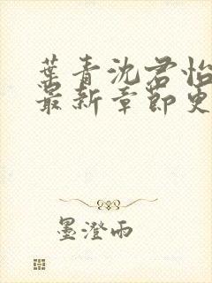 叶青沈君怡小说最新章节更新时间封面