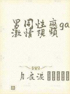 男同性恋gay激情视频