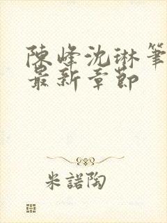 陈峰沈琳笔趣阁最新章节