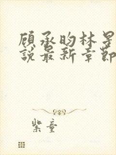 顾承昀林星禾小说最新章节免费阅读封面