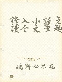 锋入小说免费阅读全文笔趣阁